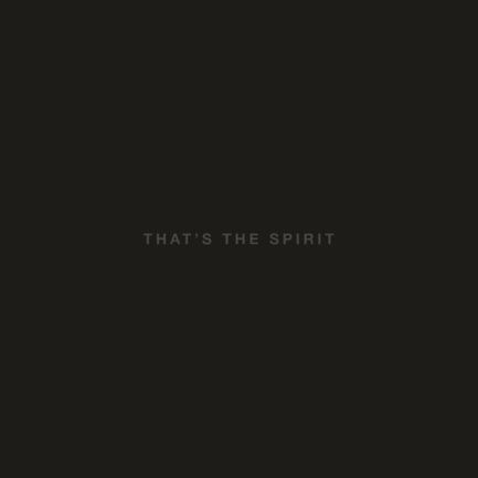 BRING ME THE HORIZON Thats The Spirit