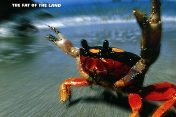 THE PRODIGY The Fat Of The Land