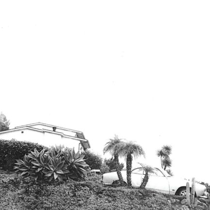 TIMBER TIMBRE Hot Dreams