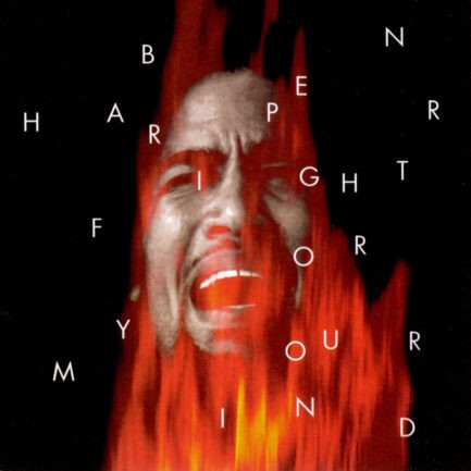 BEN HARPER Fight For Your Mind