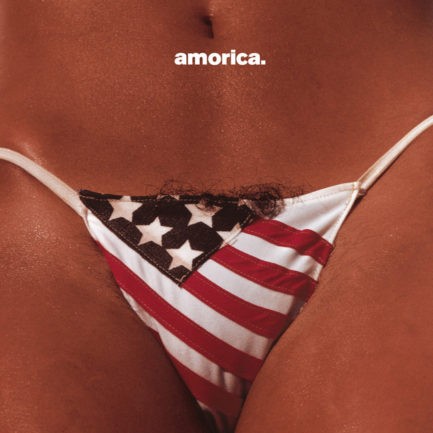 THE BLACK CROWES Amorica