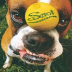 SNOT Get Some