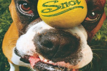 SNOT Get Some