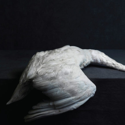 AMENRA Mass VI