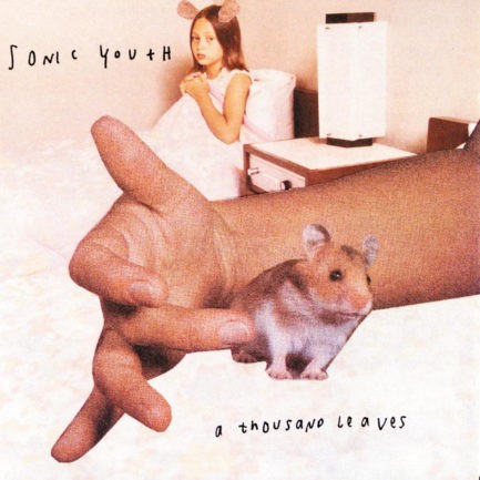 SONIC YOUTH A Thousand Leaves