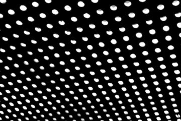BEACH HOUSE Bloom