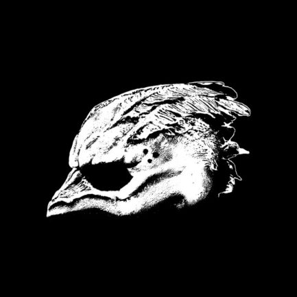 LEGEND OF THE SEAGULLMEN Legend Of The Seagullmen