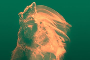 THE TEMPERANCE MOVEMENT White Bear