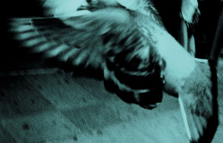 VIC CHESNUTT North Star Deserter