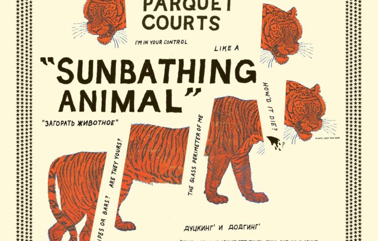 PARQUET COURTS Sunbathing Animal