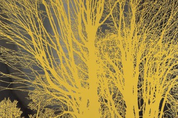 NADA SURF The Stars Are Indifferent To Astronomy