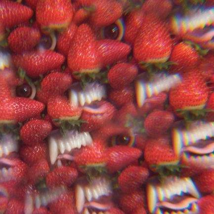THEE OH SEES Floating Coffin