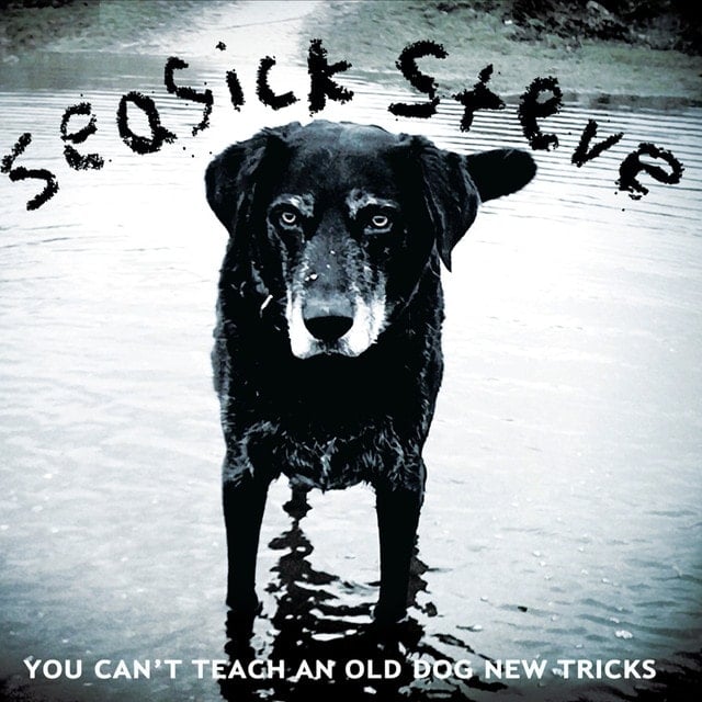 SEASICK STEVE You Can t Teach An Old Dog New Tricks