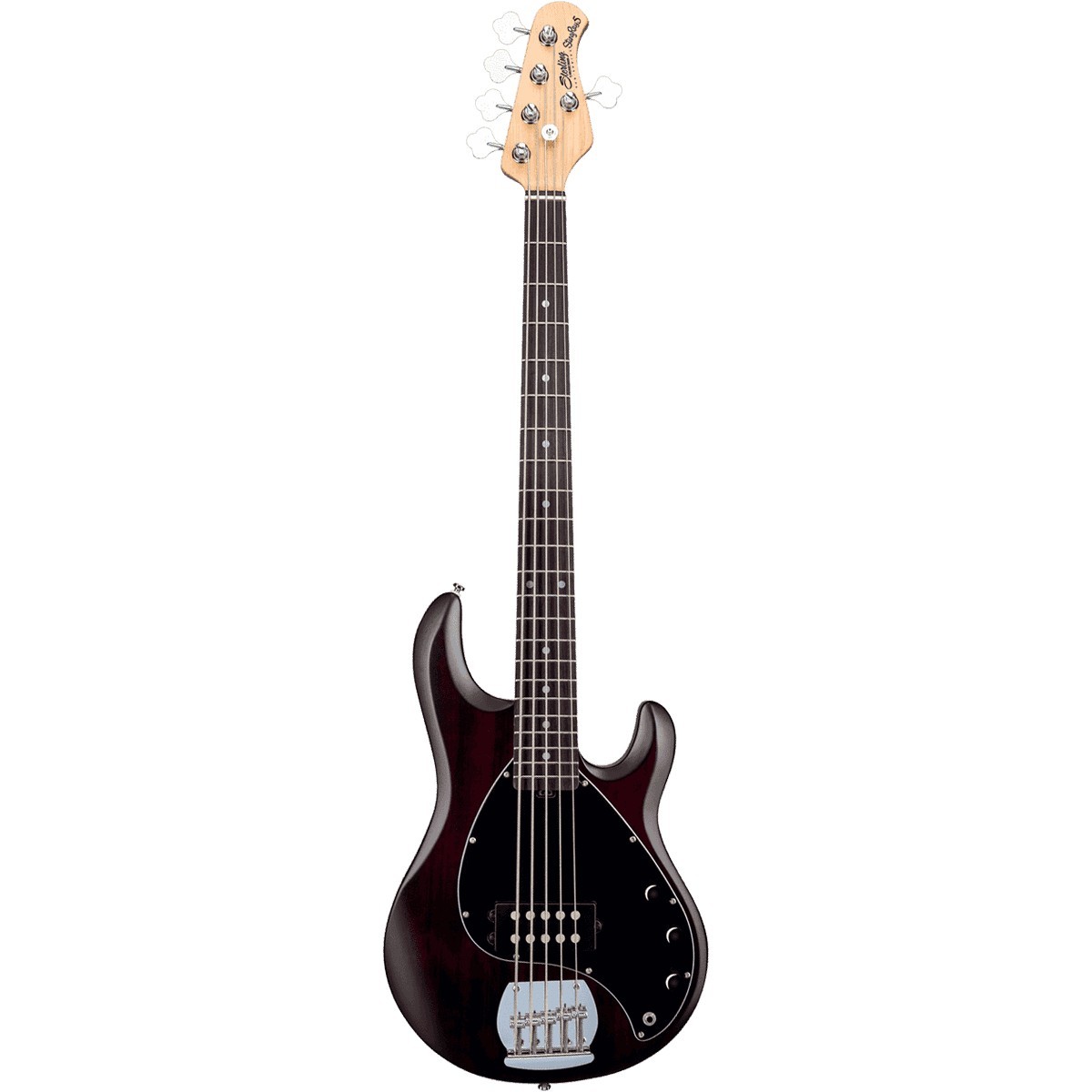MUSIC MAN STERLING StingRay5 Ray5