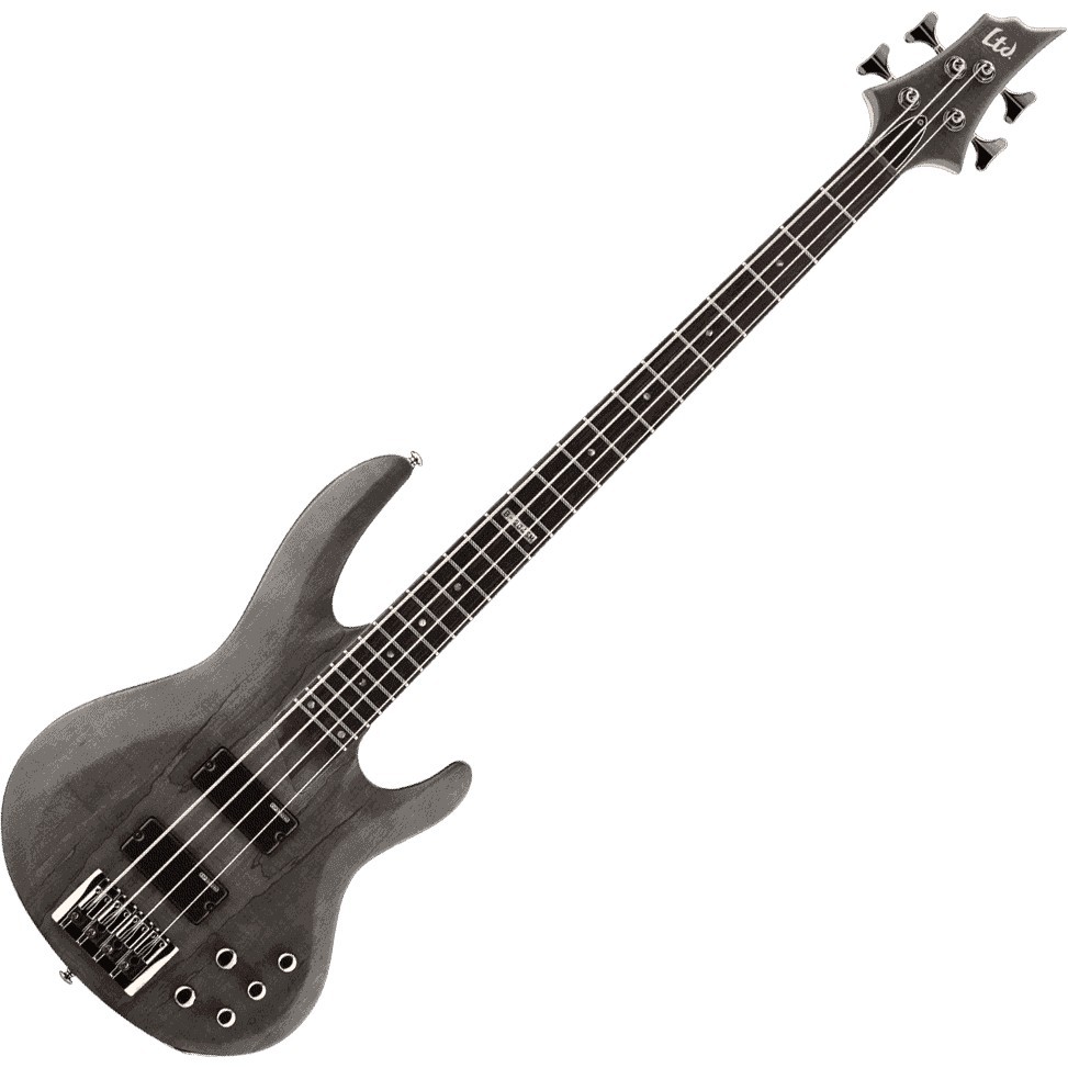 ESP LTD B 204SM