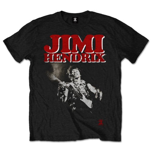 JIMI HENDRIX Block Logo