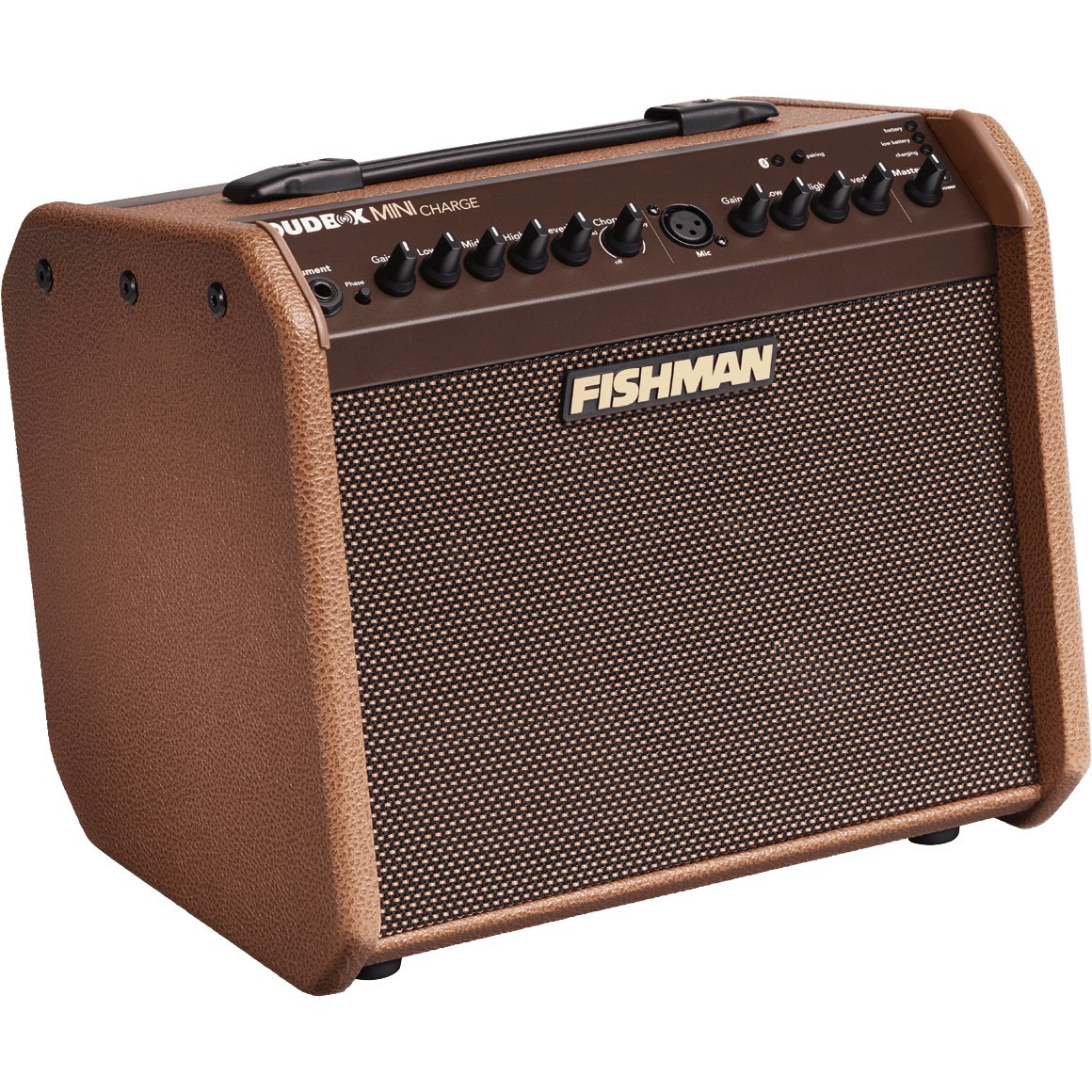 FISHMAN Loudbox Mini Charge