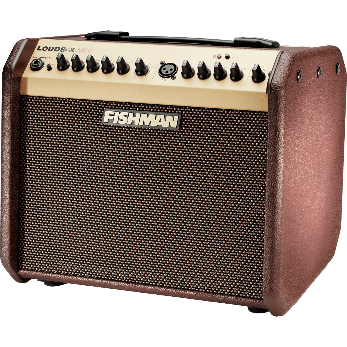 FISHMAN Loudbox Mini