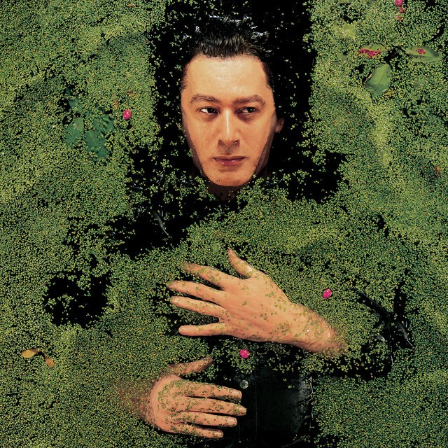 ALAIN BASHUNG Fantaisie Militaire