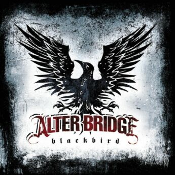 ALTER BRIDGE Blackbird