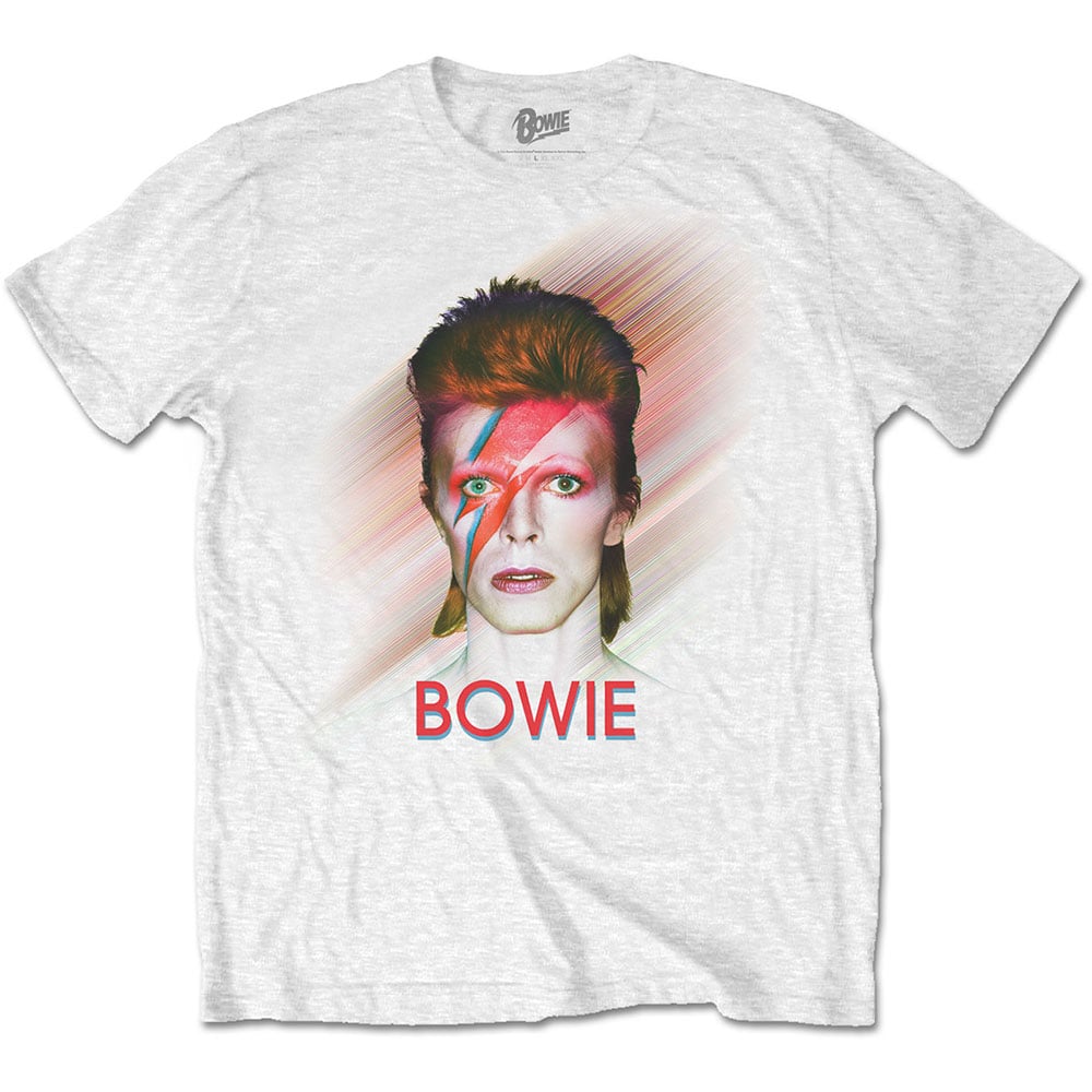 DAVID BOWIE Bowie Is