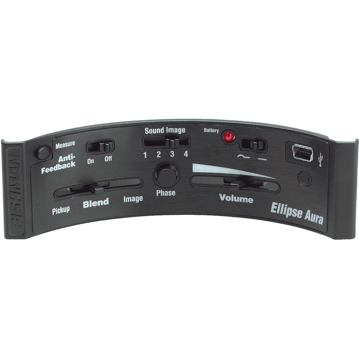 FISHMAN Ellipse Aura Format Large