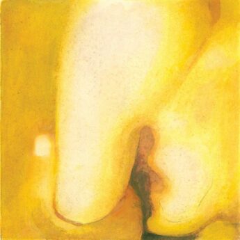 SMASHING PUMPKINS Pisces Iscariot