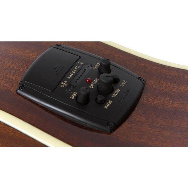 EPIPHONE AJ 210CE Outfit EPIPHONE AJ 210CE Outfit