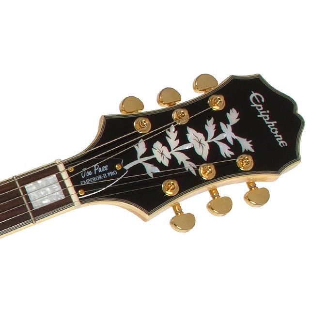 EPIPHONE Joe Pass Emperor II PRO EPIPHONE Joe Pass Emperor II PRO