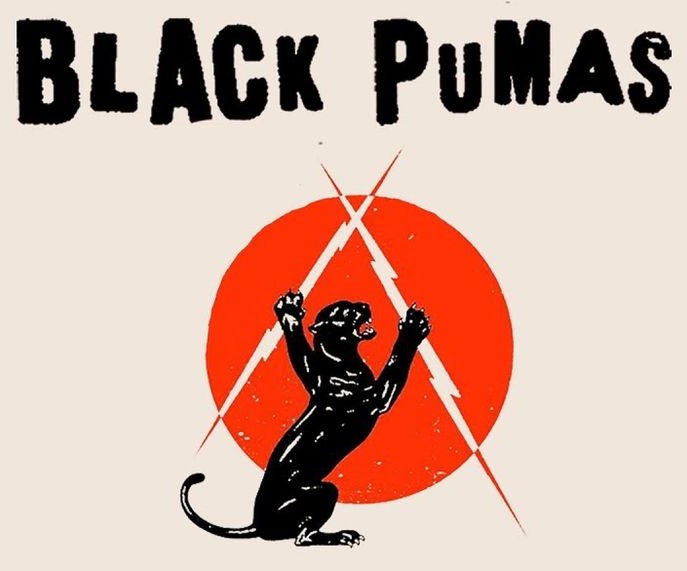 BLACK PUMAS Black Pumas ~ Vinyle | Fuzz Bayonne