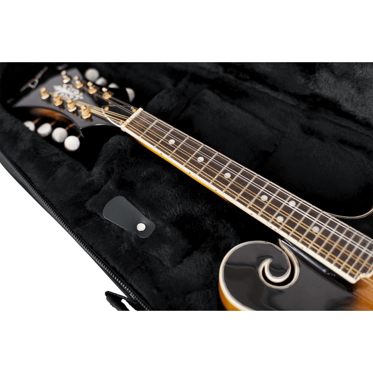 GATOR Softcase GL Mandoline GATOR Softcase GL Mandoline