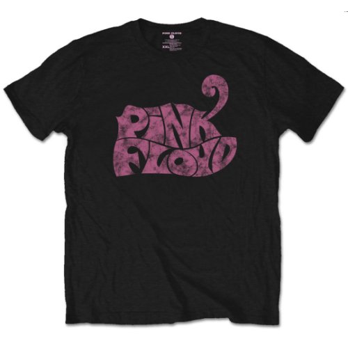 PINK FLOYD Swirl Logo