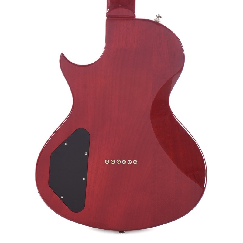 EPIPHONE Nancy Wilson Fanatic (5) EPIPHONE Nancy Wilson Fanatic