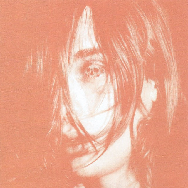 DEERHUNTER Microcastle Weird Era Continued