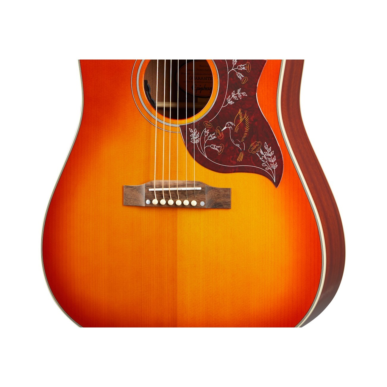 EPIPHONE Hummingbird | Fuzz Bayonne