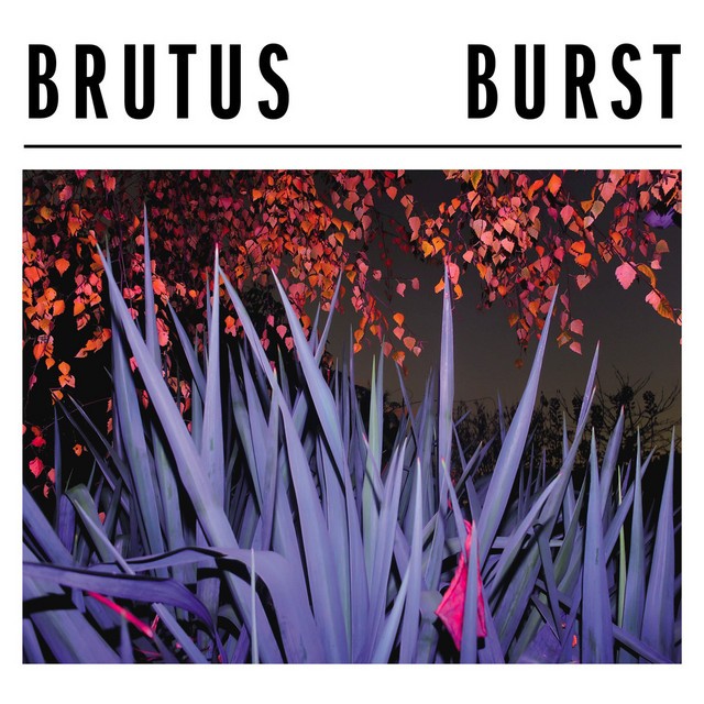 BRUTUS Burst