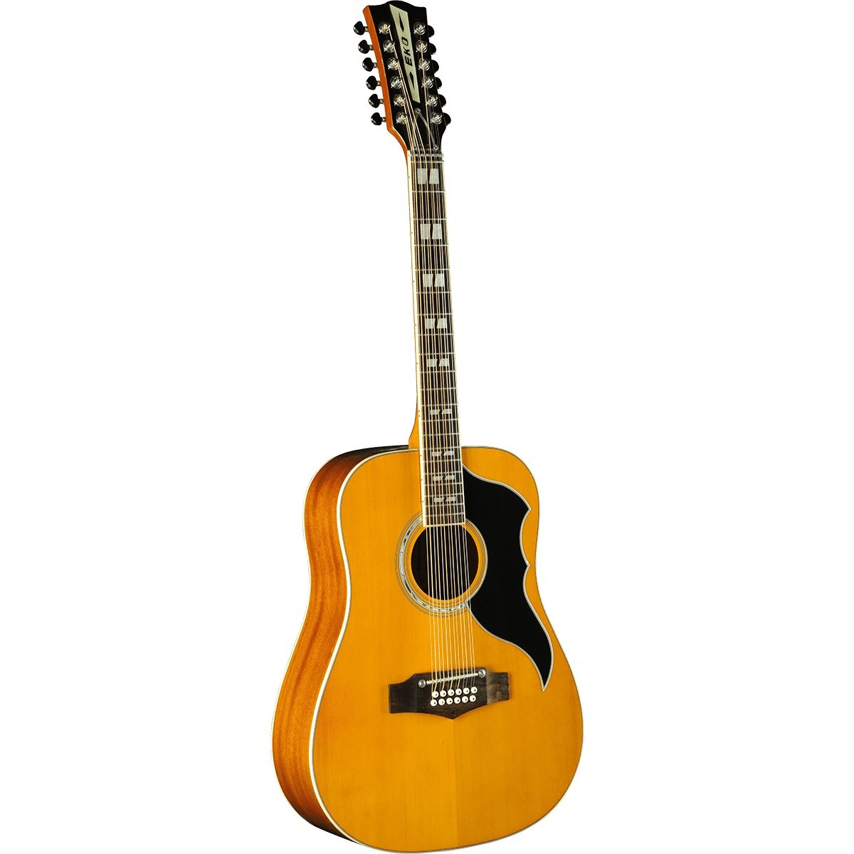 EKO Ranger XII Cutaway Electro