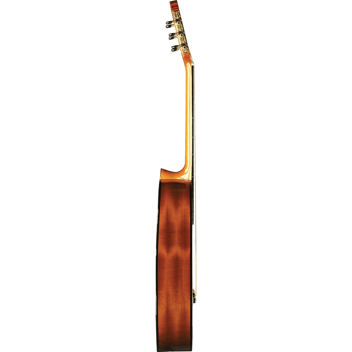 EKO Vibra 150 Cutaway Electro EKO Vibra 150 Cutaway Electro
