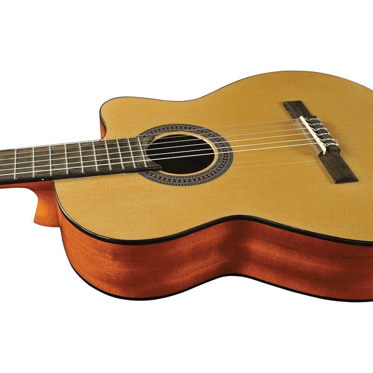 EKO Vibra 150 Cutaway Electro EKO Vibra 150 Cutaway Electro