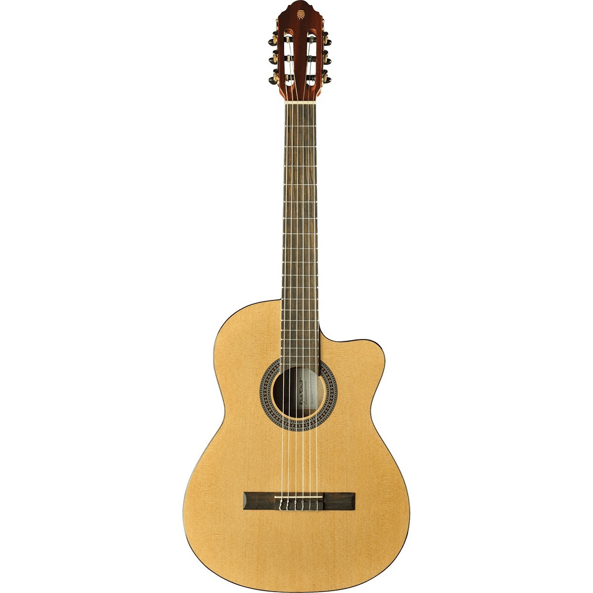 EKO Vibra 150 Cutaway Electro