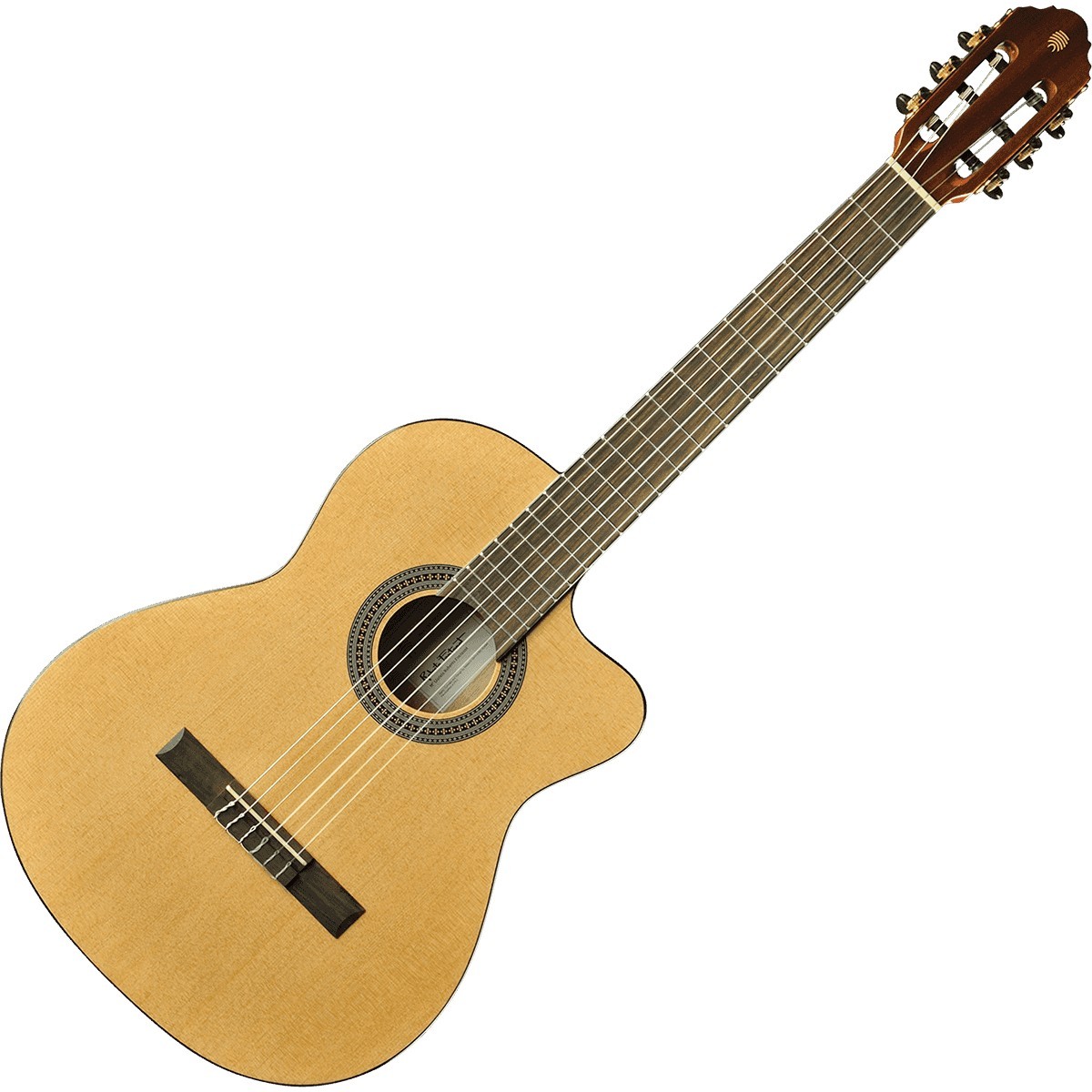 EKO Vibra 150 Cutaway Electro