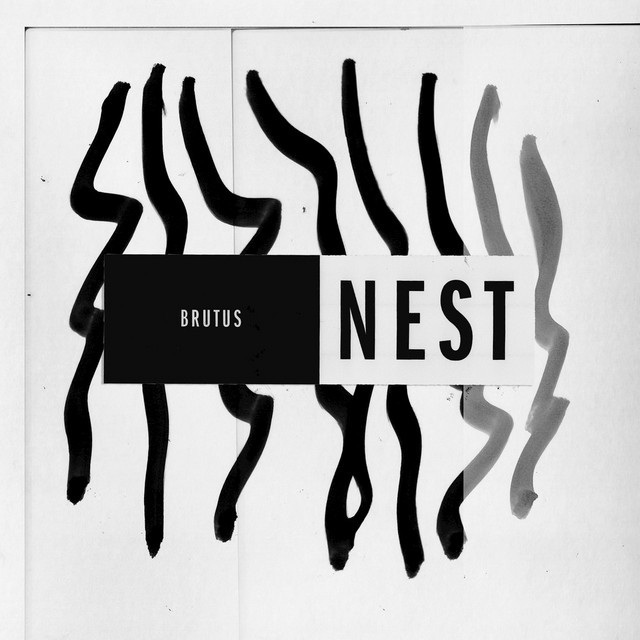 BRUTUS Nest