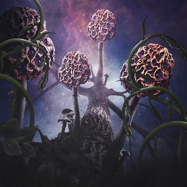 BLUT AUS NORD Hallucinogen