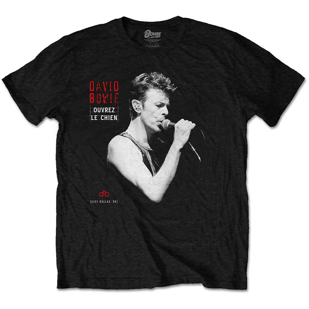 DAVID BOWIE Dallas 95