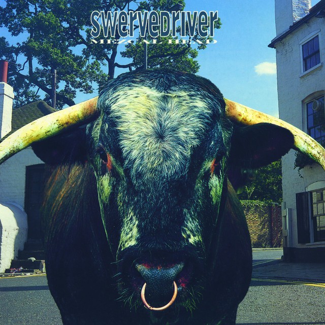SWERVEDRIVER Mezcal Head
