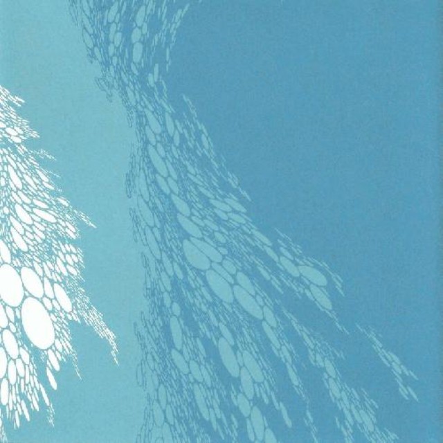 BORIS Flood