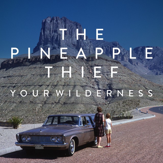 THE PINEAPPLE THIEF Your Wilderness THE PINEAPPLE THIEF Your Wilderness