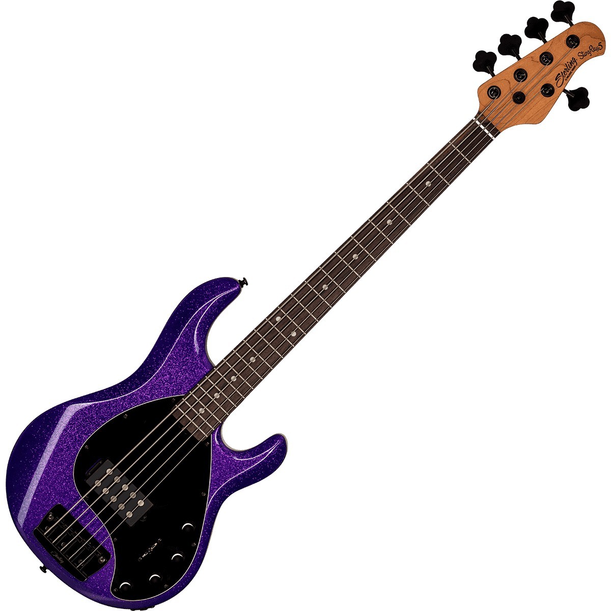 Basses StingRay 5 Cordes