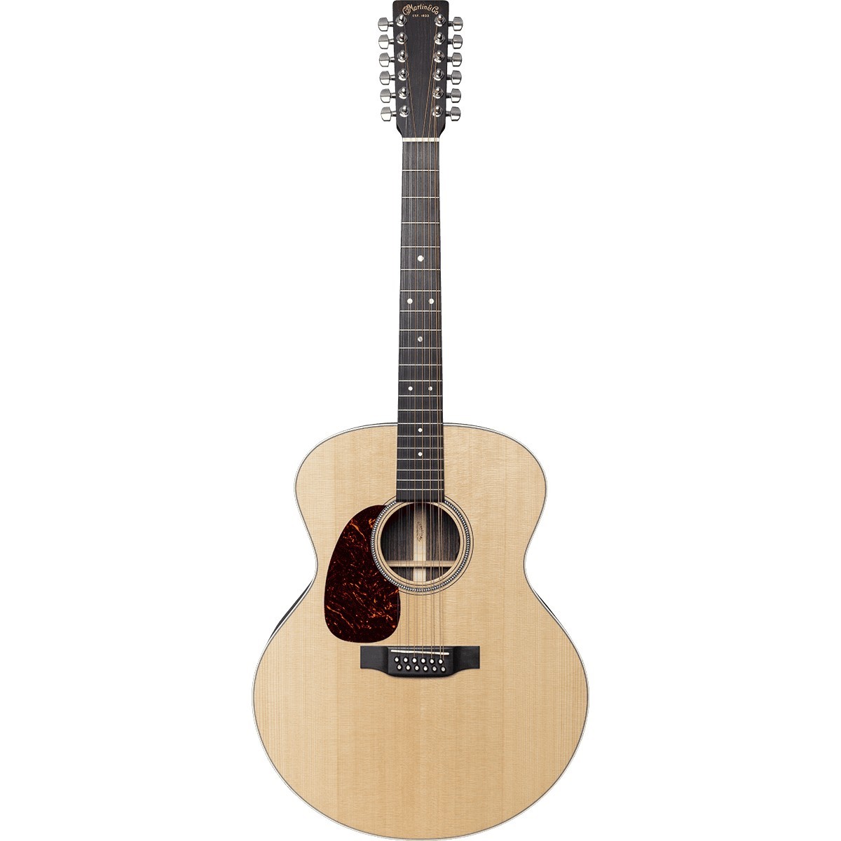 MARTIN GJ16E12 Lefty