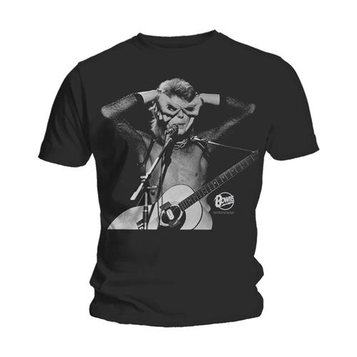 DAVID BOWIE Acoustics